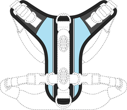 Image Trademark