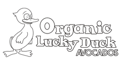 ORGANIC LUCKY DUCK AVOCADOS