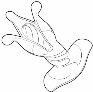 Image Trademark