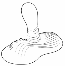 Image Trademark