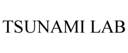 TSUNAMI LAB