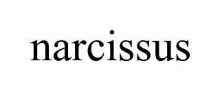 NARCISSUS
