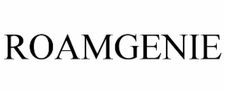 ROAMGENIE