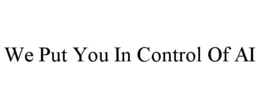WE PUT YOU IN CONTROL OF AI
