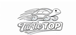 TURTLE TOP