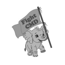 FIGHT CMD