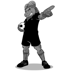 SWITCHBACKS FC