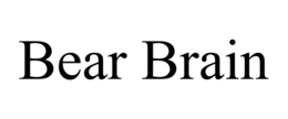 BEAR BRAIN