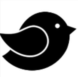 Image Trademark