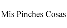 MIS PINCHES COSAS