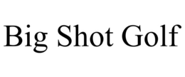 BIG SHOT GOLF