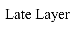 LATE LAYER