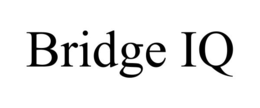 BRIDGE IQ