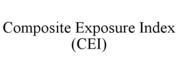 COMPOSITE EXPOSURE INDEX (CEI)