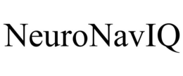 NEURONAVIQ