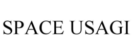 SPACE USAGI
