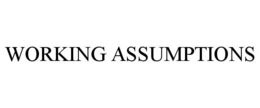WORKING ASSUMPTIONS