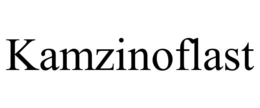 KAMZINOFLAST