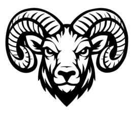 Image Trademark