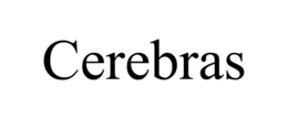 CEREBRAS