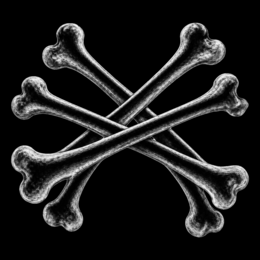 Image Trademark