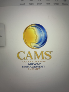 CAMS COLLABORATIVE AIRWAY MANAGEMENT SUMMIT