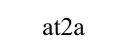 AT2A