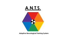 A.N.T.S. ADAPTIVE NEUROLOGICAL TRAINING SYSTEM