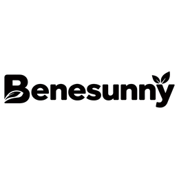 BENESUNNY