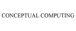 CONCEPTUAL COMPUTING