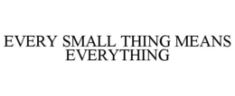 EVERY SMALL THING MEANS EVERYTHING