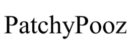 PATCHYPOOZ