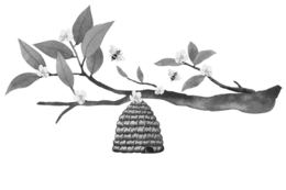 Image Trademark