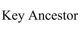 KEY ANCESTOR