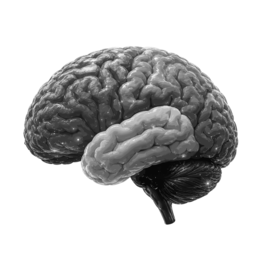 Image Trademark