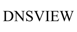 DNSVIEW