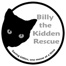 BILLY THE KIDDEN RESCUE SAVING KITTIES, ONE MEOW AT A TIME