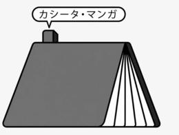 CASITA MANGA