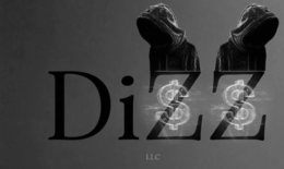 DIZZ LLC
