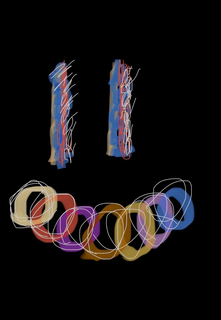 Image Trademark