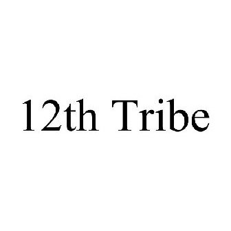 12TH TRIBE - Demi Co Llc Trademark Registration